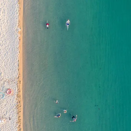 Leonardo * توروني