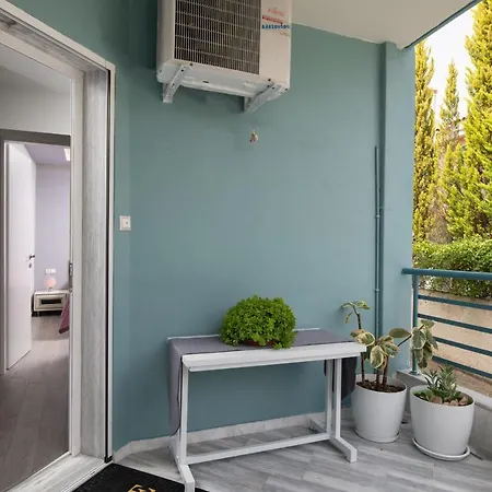 Leonardo * توروني