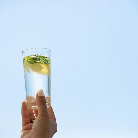 Leonardo * توروني